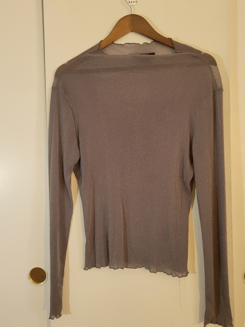 Forever 21 Shimmery Mesh Taupe Long Sleeve